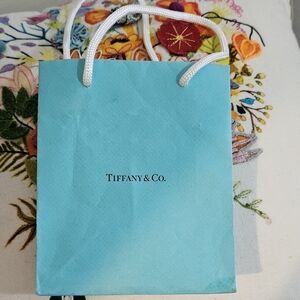 Tiffany and co signature blue gift bag